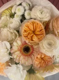 Bacio Dolce