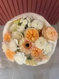 Bacio Dolce