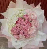 Sogno Lieve 